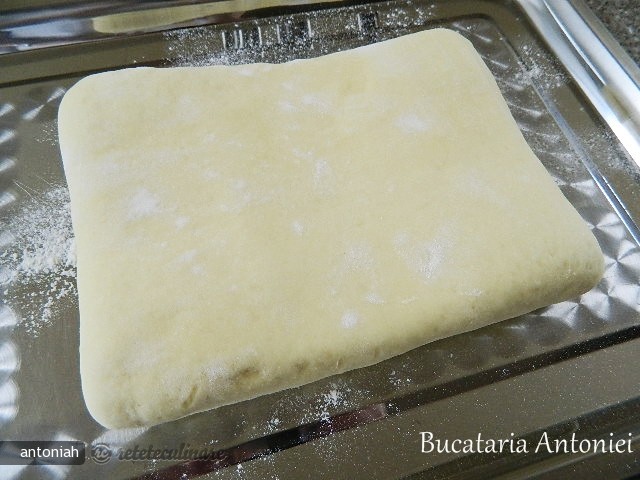 Pachetel cu Branza Brie