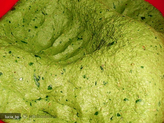 Paine Indiana cu Spanac - Palak Paratha