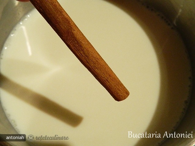 Kulfi (cu Scortisoara)