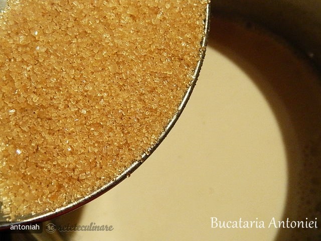 Kulfi (cu Scortisoara)