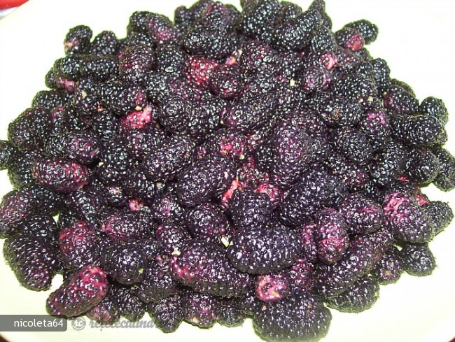 Gem (Dulceata) de Dude Negre