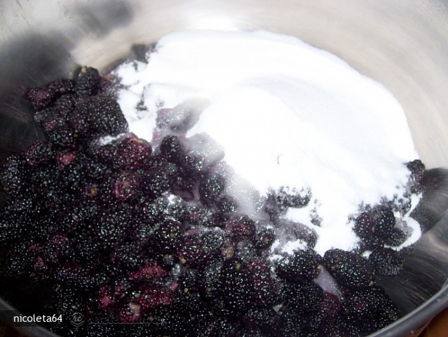 Gem (Dulceata) de Dude Negre