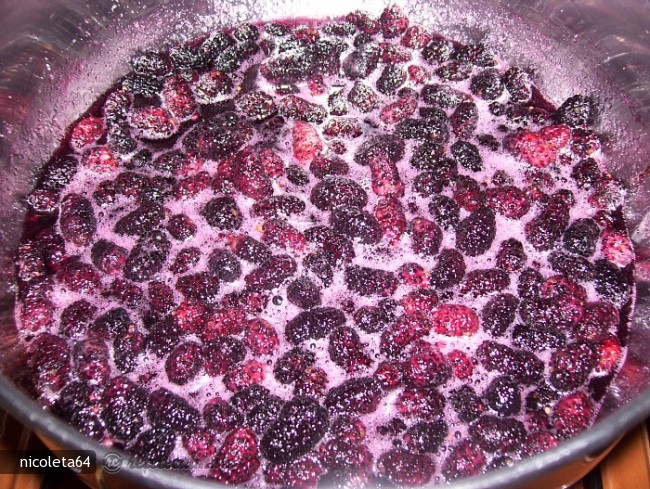 Gem (Dulceata) de Dude Negre