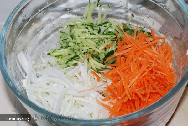 Salata cu Trei Feluri de Legume (Ban Sansi)