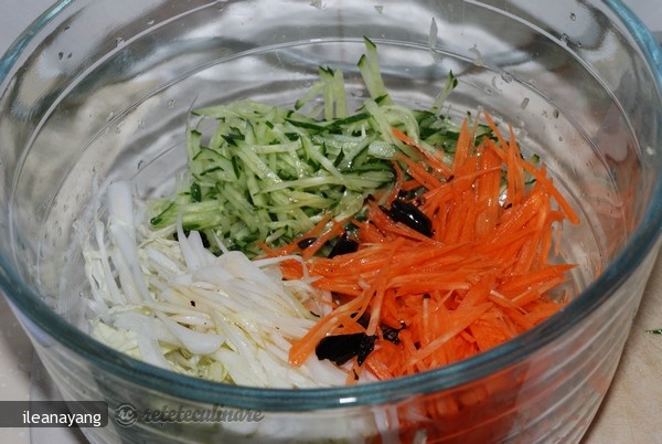 Salata cu Trei Feluri de Legume (Ban Sansi)
