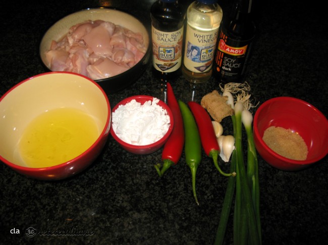Pui General Tso (General Tso`s Chicken)
