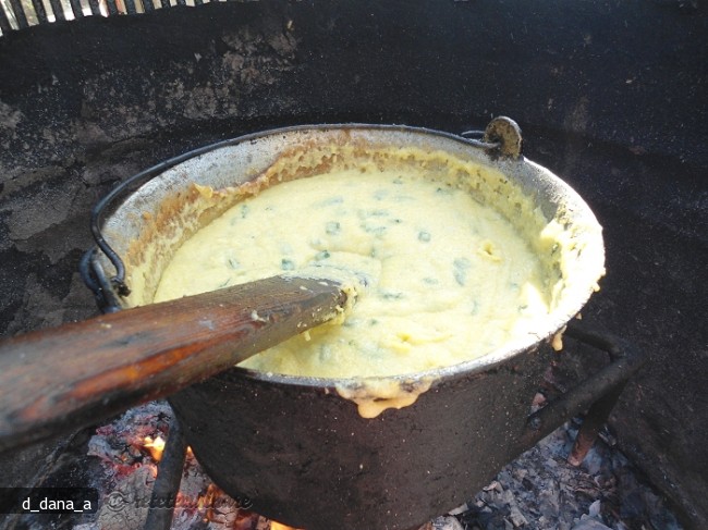 `Prajitura` de Malai
