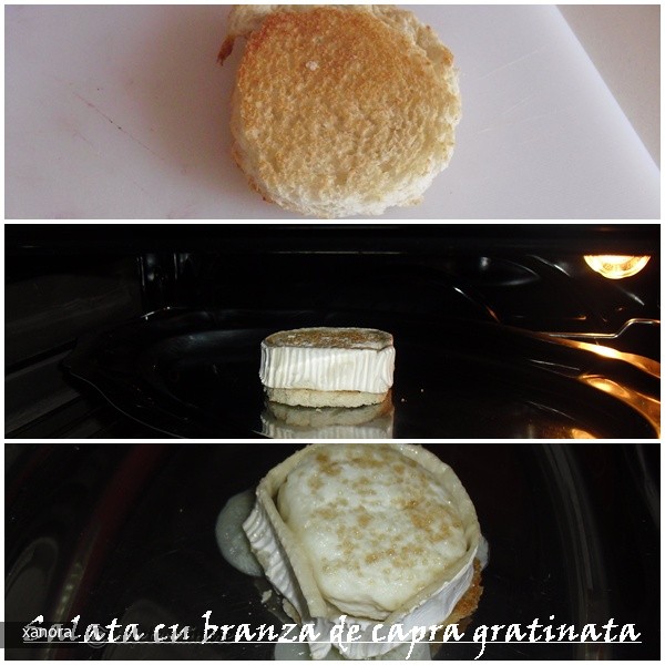 Salata cu Branza de Capra Gratinata si Smochine