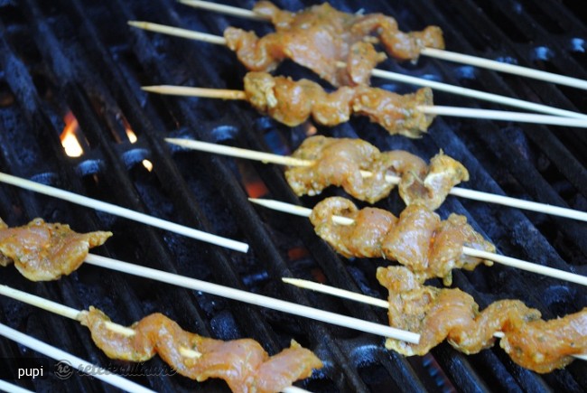 Pinchitos Morunos (Kebab)