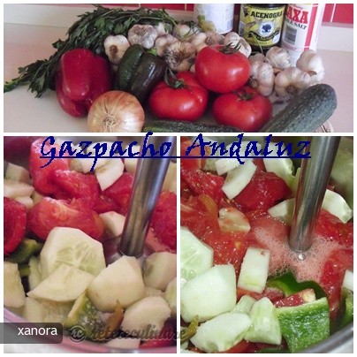 Gazpacho Andaluz I