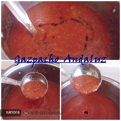 Gazpacho Andaluz I