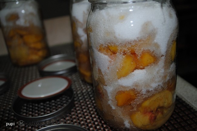 Compot de Piersici `pe Zahar`