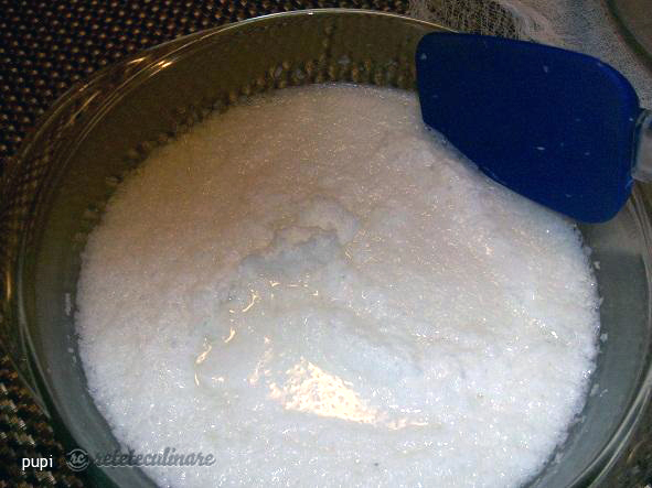 Cum sa faci lapte de cocos