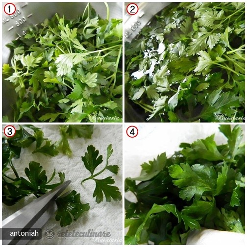 Buchet de paste (Homemade laminated parsley pasta)