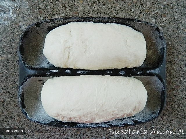Baghete de paine