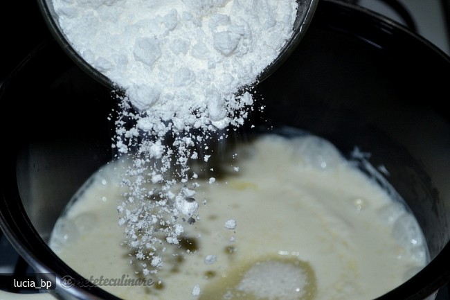 Galuste din Iaurt, Gratinate in Cuptor