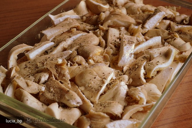 Gratin cu Ciuperci Pleurotus