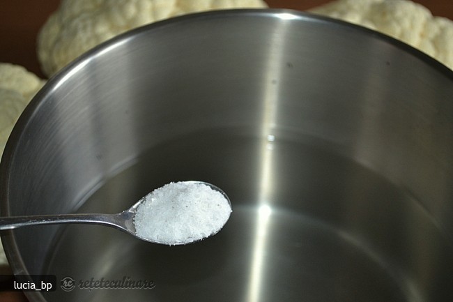 Conopida cu Sos de Branza, la Cuptor