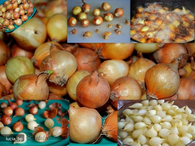 Salata de Arpagic