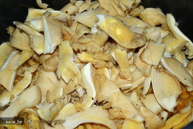 Ciuperci Gratinate cu Crutoane de Paine si Cascaval