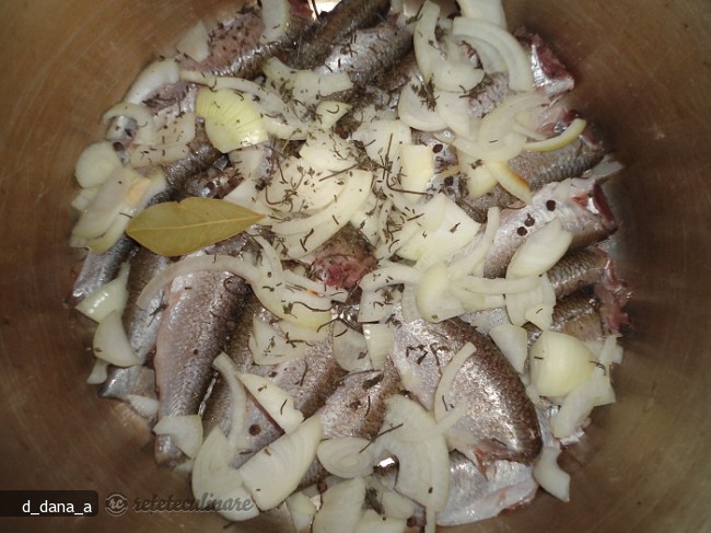 Conserva de Peste in Sos Tomat