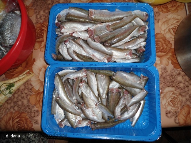 Conserva de Peste in Sos Tomat
