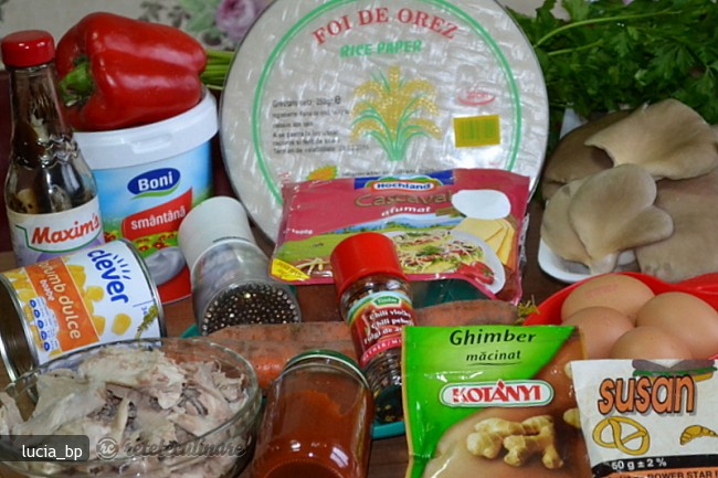 Gratin cu Rulouri din Foi de Orez cu Umplutura