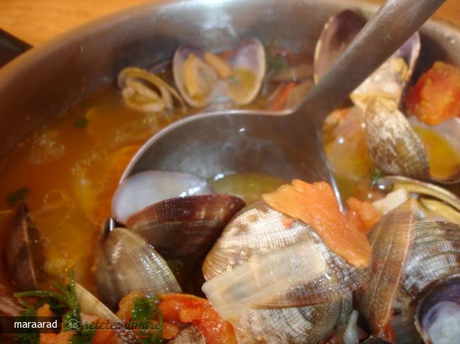 Clams Stew