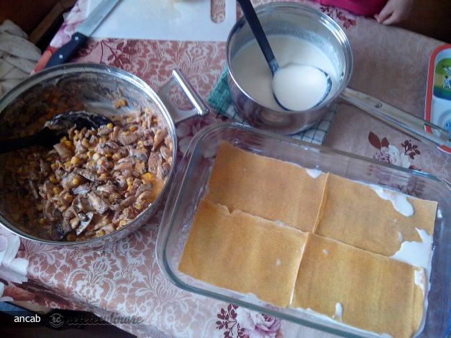 Lasagna in Stil Mexican cu Foi din Faina Integrala