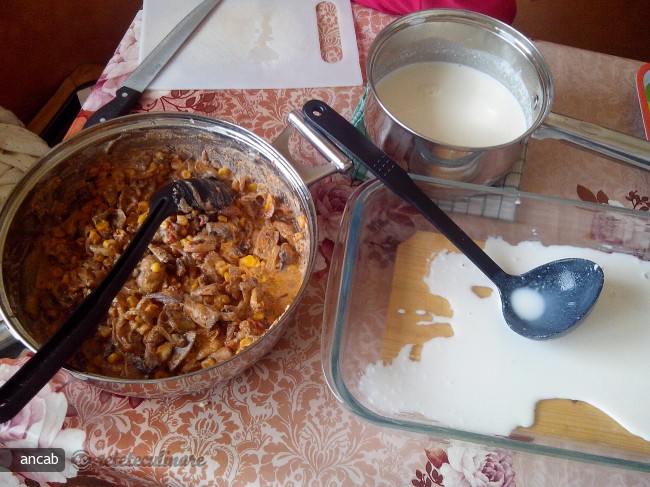 Lasagna in Stil Mexican cu Foi din Faina Integrala