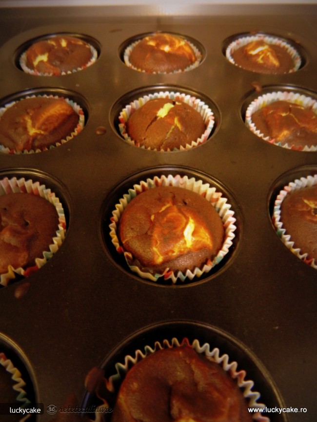 Briose Chocolate-cheese Supreme
