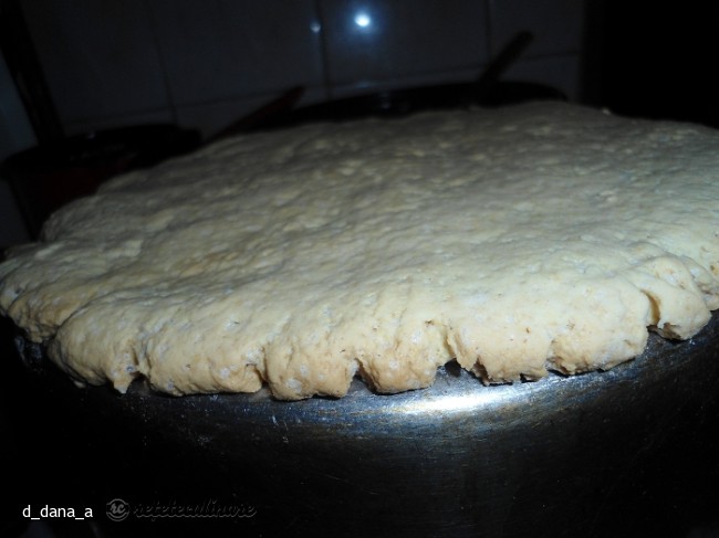 Tort cu Crema de Portocale si Glazura de Ciocolata (de Post)