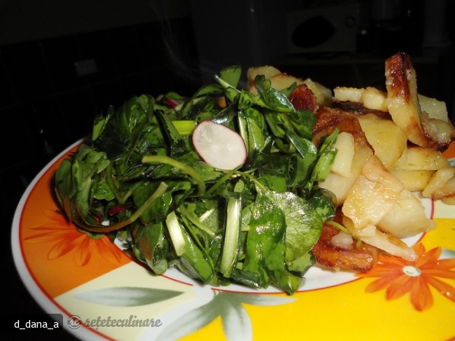 Salata `salbatica`