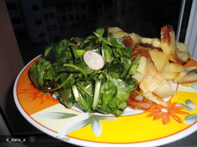 Salata `salbatica`