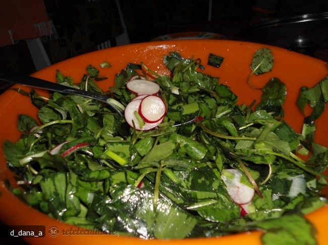 Salata `salbatica`