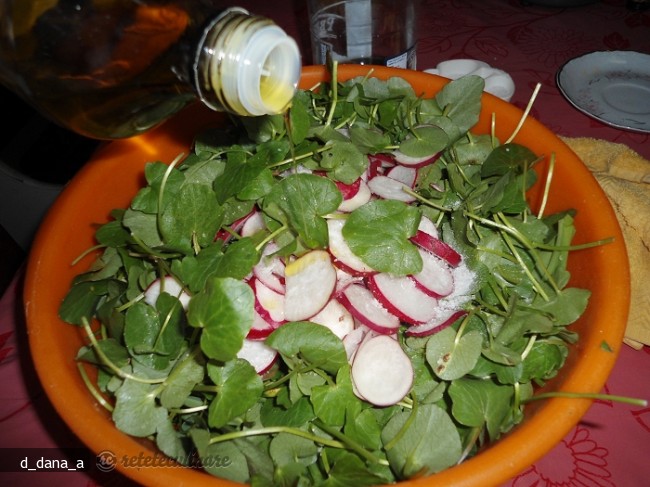 Salata `salbatica`