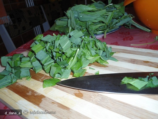 Salata `salbatica`