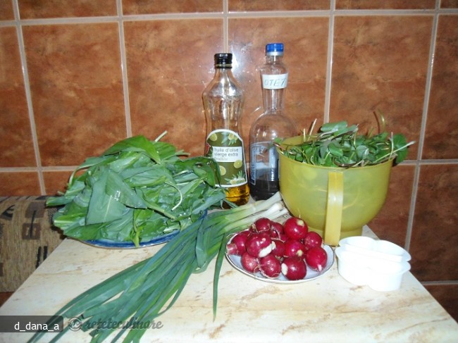 Salata `salbatica`