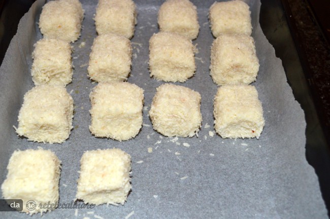 Cubulete de Conopida (Fara Glucide)