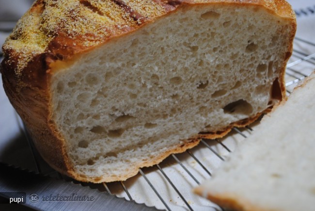 Paine Neframantata in Dutch Oven