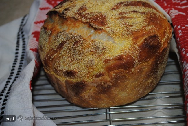 Paine Neframantata in Dutch Oven