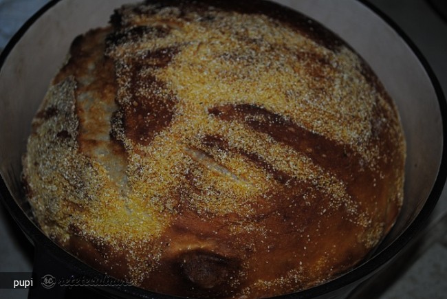 Paine Neframantata in Dutch Oven