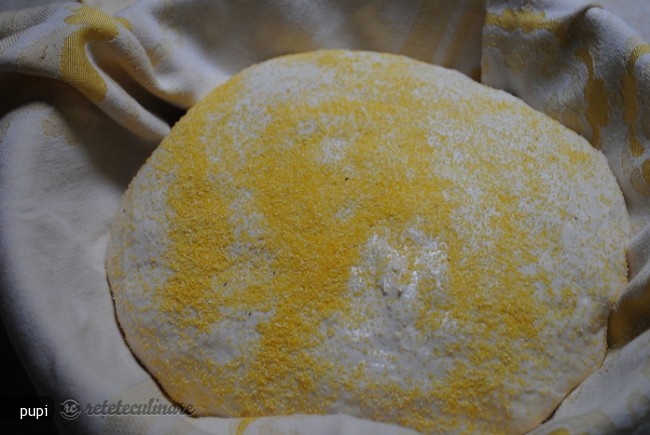 Paine Neframantata in Dutch Oven