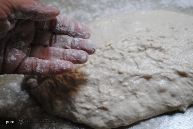 Paine Neframantata in Dutch Oven