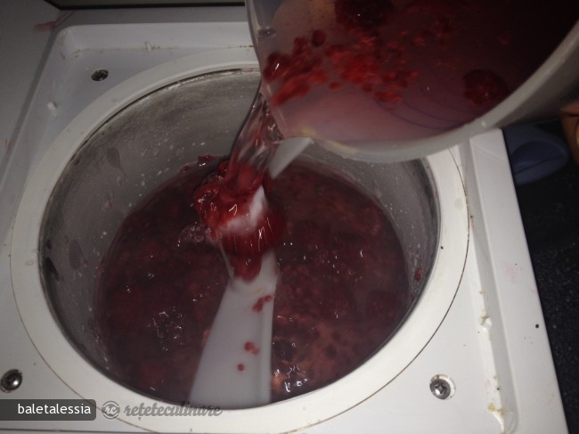 Granita de Mentă cu Zmeură