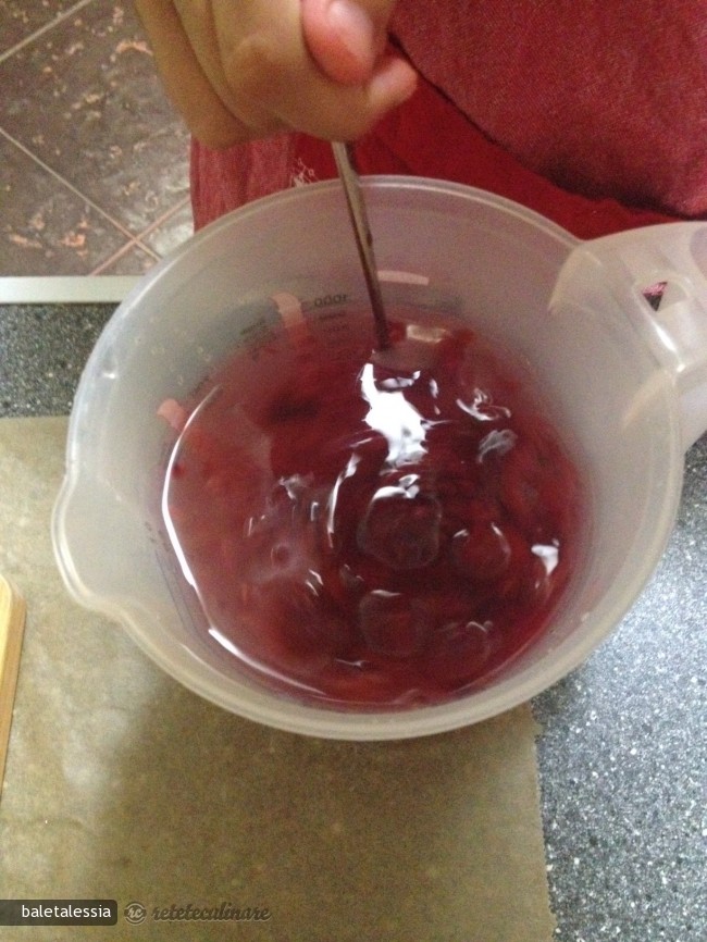 Granita de Mentă cu Zmeură