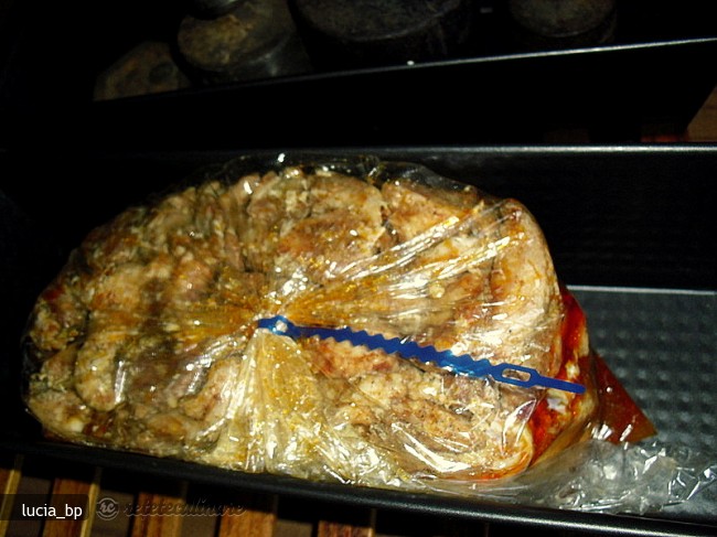 Toba de Pui