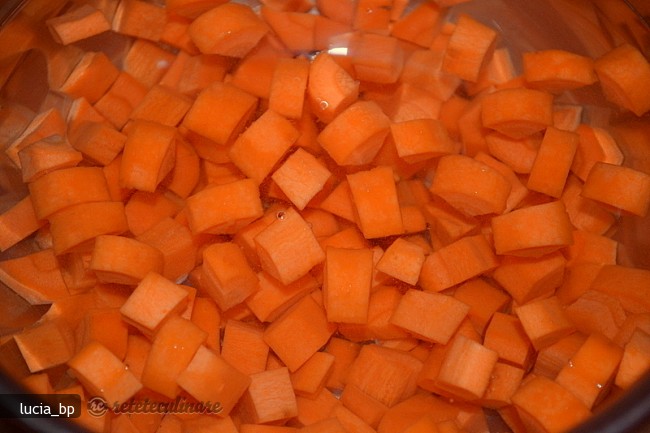 Salata de Legume cu Piure de Cartofi