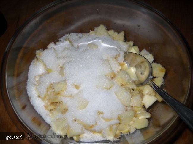 Placinta cu Mere si Dulceata de Visine - de Post