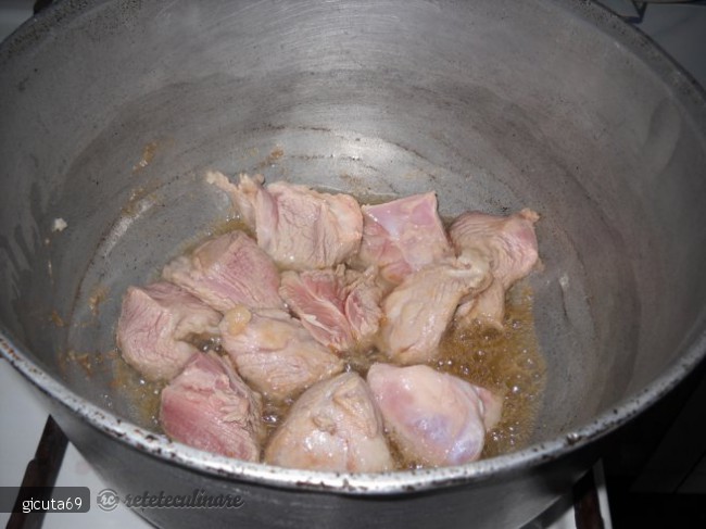 Tocanita de porc cu ceapa si ardei copt